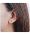 Silver Stud Earring STS-5814